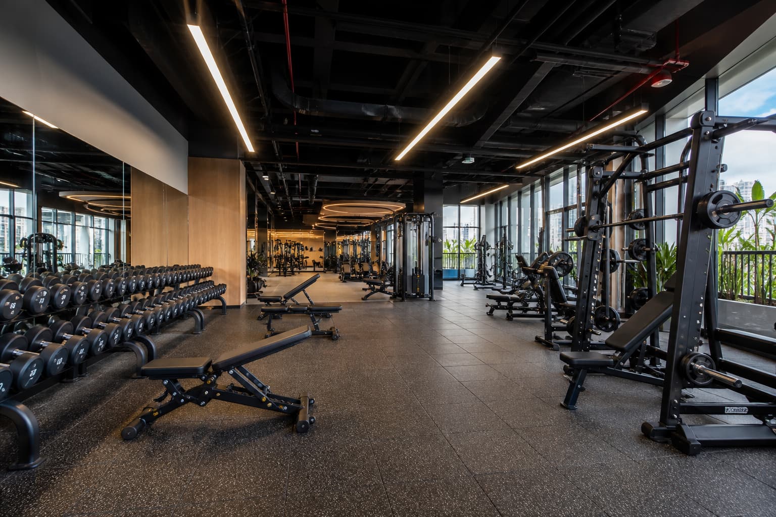 Khu vực tạ và máy tập sạch sẽ trong phòng gym hiện đại